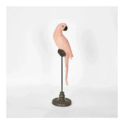The Amabela Parrot  Small Pink
