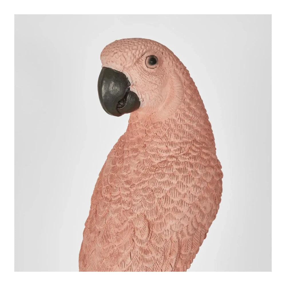 The Amabela Parrot  Small Pink