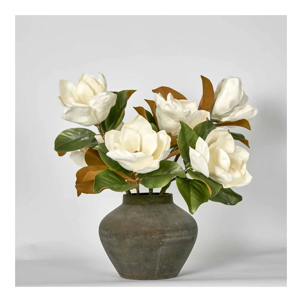 Landis Magnolia Medium Arrangement