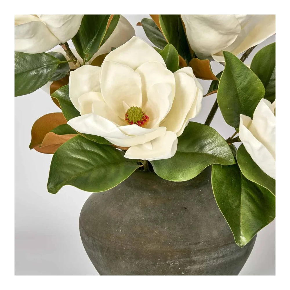 Landis Magnolia Medium Arrangement